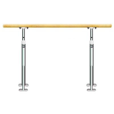 Ballet Barre Bar, Floor Type Leg Press Ballet Barre, Dance Training, Portable, Height Adjustable, for Adult Child (Color : Pink, Size : 1M) (Stainless Steel 1M) (Stainless Steel 1.5M)