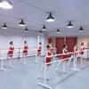 Ballet Barre Bar, Adult Child Household Leg Press, Mobile Dance Bar, Freestanding, Portable, Height Adjustable - White (Color : B) (B) (B) view 2