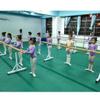 Ballet Barre Bar,Adjustable & Portable Freestanding Ballet Barre for Dancing Stretching,Height Adjustable (Size : 1.5M) (1.5M) () view 4