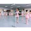 Freestanding Dance Bar, Portable Home Ballet Bar with Adjustable Holder, Training Stretch Bar for Kids, Adults, Girls, view 3