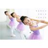 Ballet Barre Fixed Height Adjustable Stainless Steel Stretch Dance Bar Fitness Practise Dance Barre for Home Dance Barre Fitness (Size : 1M) (1M) () view 2