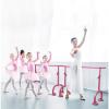 Ballet Barre Stick, Non-Slip Portable Dance Steel Tube with Suction Cup, Adjustable Independent Light Ballet Pole for Adult and Children (Black 3 m) view 3
