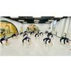 Double Barre Ballet Bar Floor Fixed Dancing Stretching Ballet for Home or Studio Barre Exercise Equipment for Kids and Adults view 3