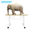 Ballet Barre Bar Ballet Barre Portable for Home 80-120 Ballet Bar for Kids Freestanding Wood Adjustable Heavy Duty Dancing Stretching Ballet for Dance Barre Fitness (Pink 1.5M) (Pink 1.5M) (White 1.5 view 3