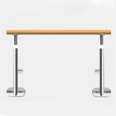 Dance Bar, Ballet Bar, Ballet Bar, Dance Bar, for Children and Adults, Wall Floor Fixed Bar, Stainless Steel Ballet for Dance, Exercise (b 2m) (B 2m) (A (2M) EU)
