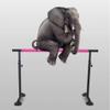 Ballet Barre Bar Portable 1.5m Ballet Bar for Kids Adults Height Adjustable Heavy Duty Dancing Stretching Ballet view 2