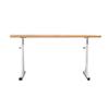 Adjustable Dancing Stretching Ballet Bar Mobile Fitness Practise Ballet Barre for Home Or Studio Gymnastics Bar with Non-Slip Stand (Size : 1.5M) (1M) () view 1