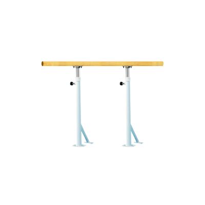 Outdoor Freestanding Ballet Bar, Adjustable Dance Stretching Rod Home Dance School Gym for Ballet Ballet Barre(Size:100CM,Color:A) (A 150CM) (A 150CM) (A 100CM)