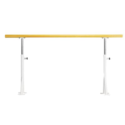 Outdoor Ballet Barre, Adjustable Bar for Adults Kids Stretching Dance Bar for Home Living Room Dance Studio Gym(Size:100CM,Color:A) (B 100CM) (A 100CM) (B 150CM)