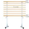 Dance Bar, Ballet Bar, Ballet Bar, Freestanding Dance Bar, Mobile Dance Stretching Bars, Animation, Children, Adults, Height Adjustable for Home, Fitness Dance (White.) view 2