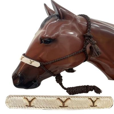 Showman Mule Tape Halter w/Leather Cowhide Y Branded Noseband