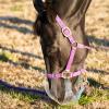 ThinLine Flexible Filly Grazing Muzzle | Lightweight Safe Comfortable Ventilated Equine Slow Feed Halter Mounting Clear Horse Mask, Cob/Horse, 2.5+ cm Hole view 3