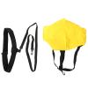 QANYEGN Swimming Strength Training Resistance Belt, Fixed Swimming Aquatic Resistance Belt, Static Swimming Belt with Drag Umbrella for All Pools view 1
