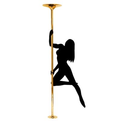HamoM Dance Pole 360 Rotating Dance Poles in A Household Dance Studio, 45mm Detachable Steel Strip Dance Pole, Capable of Bearing 200kg