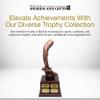 SHOP AWARDS AND GIFTS Customizable 15 Inch Antique Gold Bass Fish Perpetual Trophy on Rosewood Base, for Tournament, Championship, Prizes and Gifts, Unisex Award, Includes Personalized Engraving view 2