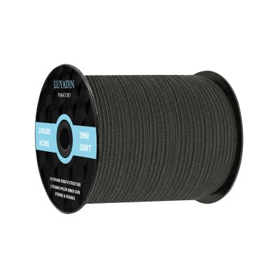 LUYADIN Paracord 240lb - Diameter 2mm Micro Utility Cord -3 Strand Parachute Spool Cord - 100ft 200ft,Paracord for Camping,Hiking,Fishing,Outdoor and DIY
