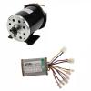 YC Yier 36V 800W Brushed Motor and Speed Controller Set for Electric Scooter Go Kart Bicycle e Bike Tricycle Moped ATV Quad Dirt Bike Razor view 1