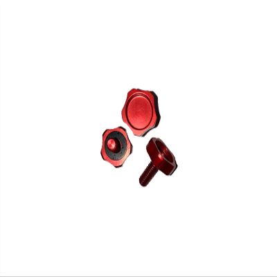 Electric Bicycle Accessories Red Screw for Frame kits