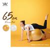 ALINCO WBF065W Balance Ball, Diameter 25.6 inches (65 cm), Chair, Stool, Lightweight, Includes Air Pump, Exercise Manual, Stretching, Fitness, Yoga, Exercise, Balance Exercise, Home Use, White view 2