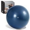 ALINCO WBF075 Balance Ball, Diameter 29.5 inches (75 cm), Chair, Stool with Air Pump, Exercise Manual Included, Stretching, Fitness, Muscle Training, Shaping, Balance Exercise, For Home Use, Navy view 1