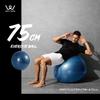 ALINCO WBF075 Balance Ball, Diameter 29.5 inches (75 cm), Chair, Stool with Air Pump, Exercise Manual Included, Stretching, Fitness, Muscle Training, Shaping, Balance Exercise, For Home Use, Navy view 2