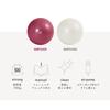 ALINCO WBF030W Balance Ball, Diameter 11.8 inches (30 cm), Chair, Stool, Lightweight, Includes Air Pump, Exercise Manual, Stretching, Fitness, Yoga, Exercise, Balance Exercise, For Home Use, Compact, Space Saving, White view 4