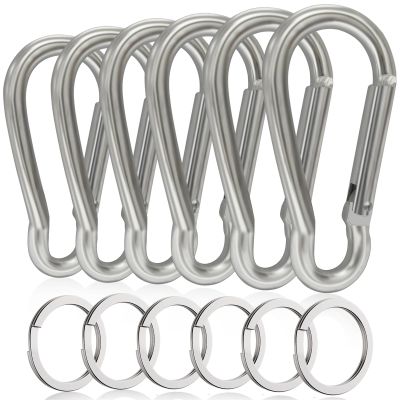 6PCS Carabiners, LDJZON 2.32 Inch Large Aluminum Carabiner Clip Spring Snap Hook with 6PCS Keyrings Keychain Hook for Keys, Backbag, Camping Lamp,Water Bottle Silver
