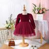 Baby Girls Velvet Dress Toddler Long Sleeve Square Neck Christmas Dress Smocked Back Tulle Tutu Dress Party Holiday Birthday Xmas Formal Fall Winter Dresses Wine red-Square Neck 18-24 Months view 2