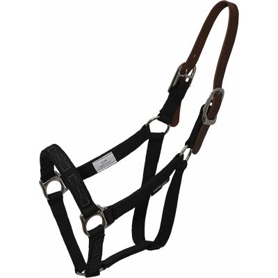Thinline Turnout Halter for Use with Grazing Muzzle | Horse Equine Safe Comfortable Adjustable Breakaway Halter, Oversize