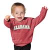 Little King NCAA Infant Boys and Girls Crewneck Knobby Sweatshirt With Tackle Twill Letters-Team Colors-Alabama-Heathered Crimson-12 Months view 1