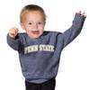 Little King NCAA Infant Boys and Girls Crewneck Knobby Sweatshirt With Tackle Twill Letters-Team Colors-Penn State-Heathered Navy-6 Months view 1