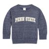 Little King NCAA Infant Boys and Girls Crewneck Knobby Sweatshirt With Tackle Twill Letters-Team Colors-Penn State-Heathered Navy-6 Months view 3