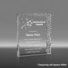 Custom Engraved Trophy | Acrylic Awards Personalized with Engraving | Shining Star | Above and Beyond | Making a Difference | Retirement | Appreciation | Excellence (Retirement Award) view 3