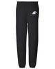 LOGOVISION Ashland University Primary Logo Mens Jogger Sweatpants, Black, Medium view 2
