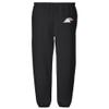 LOGOVISION Ashland University Primary Logo Mens Jogger Sweatpants, Black, X-Large view 2