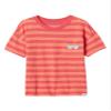 GAP Baby Boys Short Sleeve Graphic Tee Desert Flower 3YRS view 1
