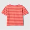 GAP Baby Boys Short Sleeve Graphic Tee Desert Flower 3YRS view 2