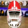 Georgia Bulldogs Replica Display Football Helmet + US Flag Helmet Decal - Green Gridiron view 2