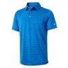 Golf Shirts for Boys Short Sleeve Moisture Wicking Dry Fit Performance Sport Striped Kids Youth Boys Polo Shirts view 1