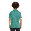 Boys Golf Polo Shirts Short Sleeve Dry Fit Moisture Wicking Casual Sport Striped Golf Shirts for Boys Kids Youth view 4