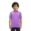 Boys Golf Polo Shirts Short Sleeve Dry Fit Moisture Wicking Casual Sport Striped Golf Shirts for Boys Kids Youth view 2