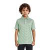 Boys Golf Shirts Dry Fit Moisture Wicking Casual Sport Short Sleeve Boys Polo Shirts Kids Youth view 2