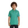 Boys Polo Shirts Dry Fit Moisture Wicking Casual Sport Short Sleeve Golf Polo Shirts for Boys Kids Youth Green Stripe view 2
