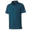 Boys Golf Polo Shirts Short Sleeve Dry Fit Moisture Wicking Casual Sport Striped Golf Shirts for Boys Kids Youth view 1
