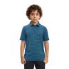 Boys Golf Polo Shirts Short Sleeve Dry Fit Moisture Wicking Casual Sport Striped Golf Shirts for Boys Kids Youth view 2