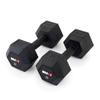 Rubber Hex Dumbbells (Pair) view 1