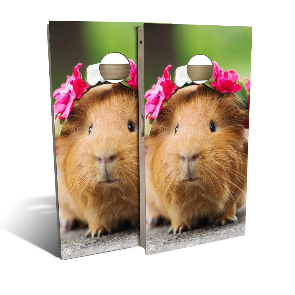 Skip's Garage Guinea Pig Cornhole Set - All-Weather 2x4 (Weather Bags) - Include Case + Edge Lights