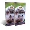 Skip's Garage Hedge Hog Cornhole Set - Backyard 2x4 (Weather Bags) - NO Accessories view 1