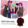 balacoo 2pcs Puff Afro Curly Wig with for Women Synthetic Hairpiece Comfortable Fit for Daily Wear Realistic Curly Bun Style Vibrant and Bouncy Hair Extensions view 4