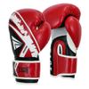Fadi Sports Train Evolution Boxing Gloves - Pro Training Sparring Gloves for Men & Women with Ventilated Palm | Perfect for Muay Thai, MMA, Kickboxing, Heavy Bag Workouts & Fitness view 1